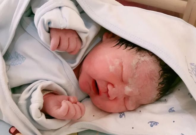 响尾蛇 产品图片