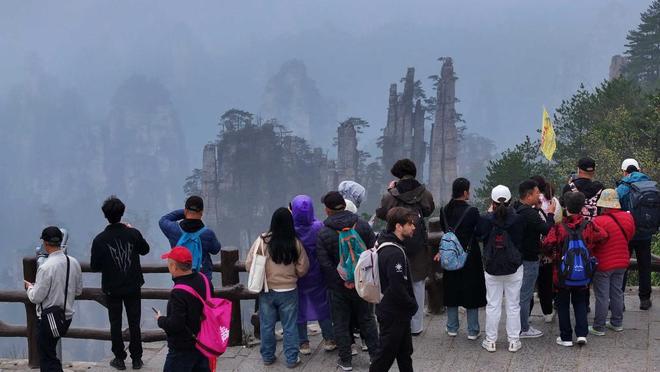 圣母院 产品图片