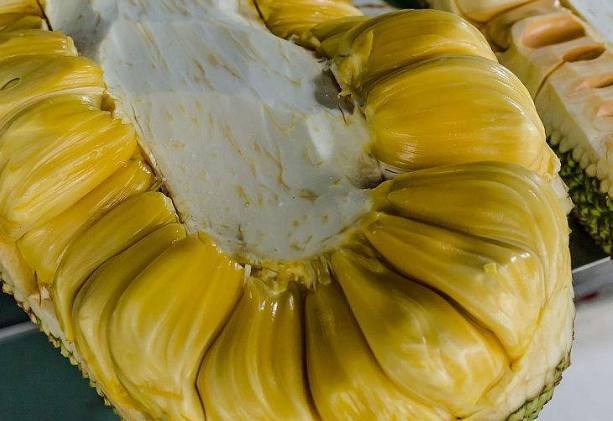 哈尔的移动城堡