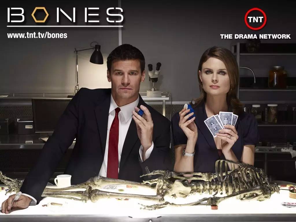 凤舞红尘 产品图片