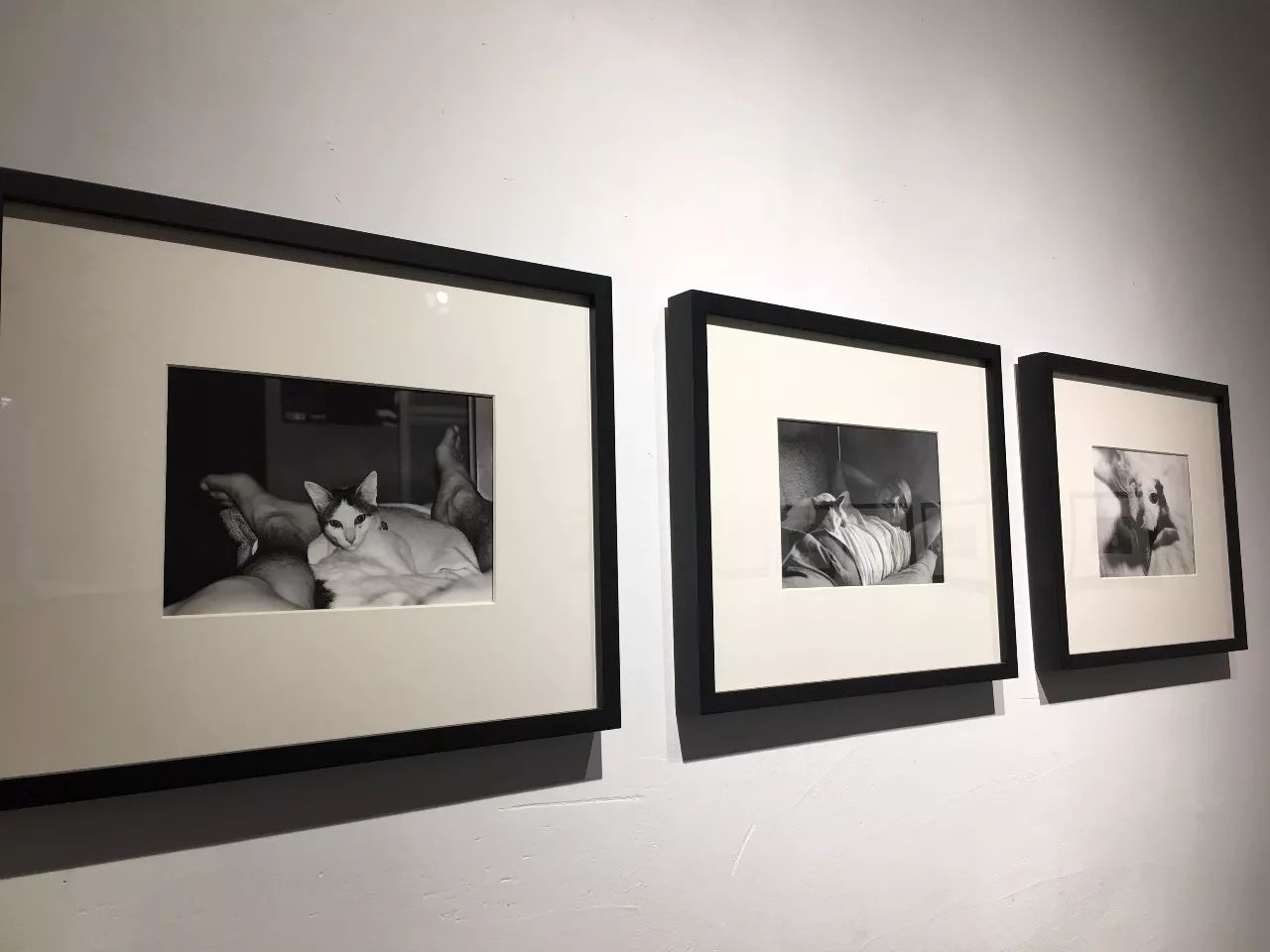 凤舞红尘 推荐产品