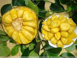 坂道上的阿波罗 产品图片