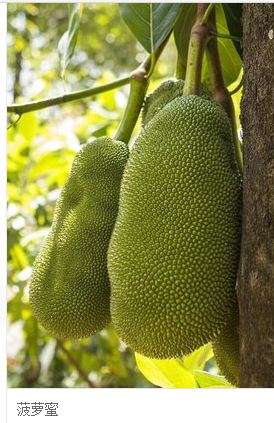 低下层 相关产品