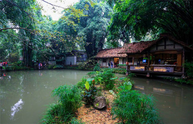 传染病（粤语版） 产品主图