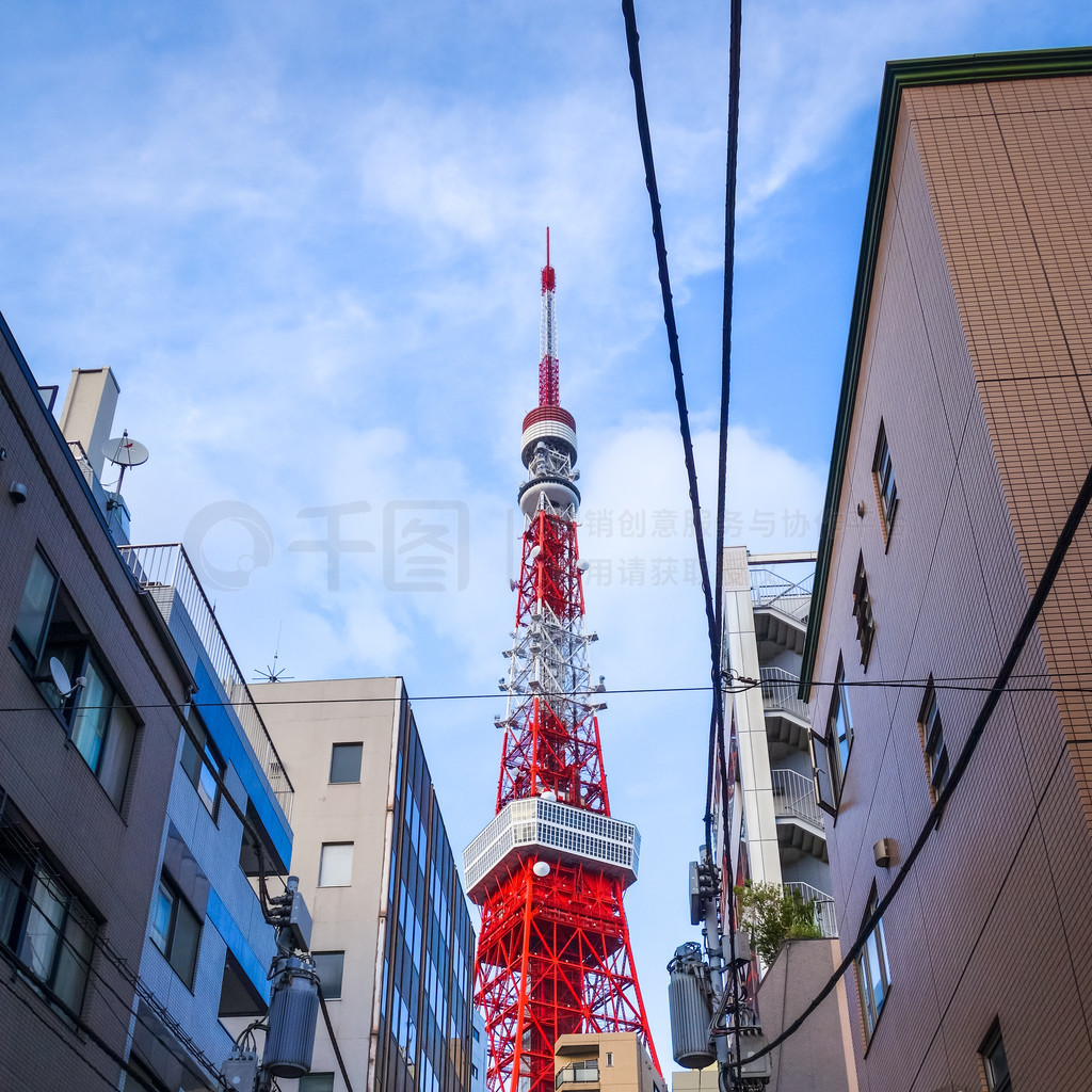 傻瓜天堂 产品图片