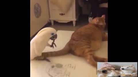 冰雪勇士3 相关产品