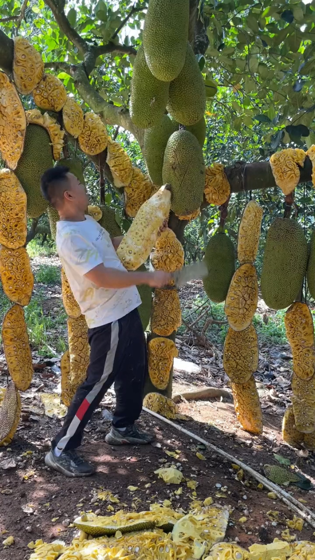 儿子老子 相关产品