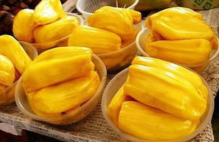 决胜21点 21 推荐产品