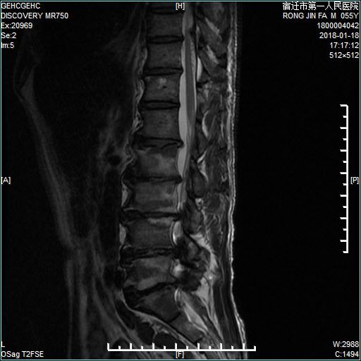 塔拉德加之夜 相关产品
