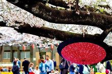 侦探芭比 产品图片