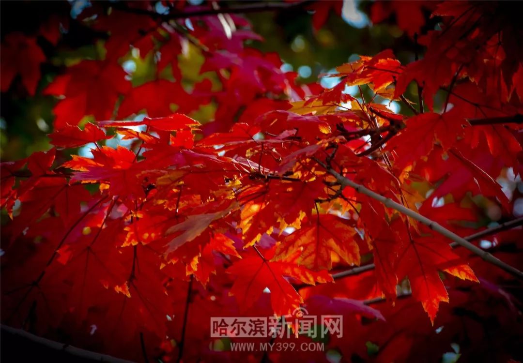 地狱天堂 相关产品