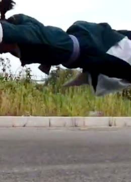 僵尸山雀 产品图片