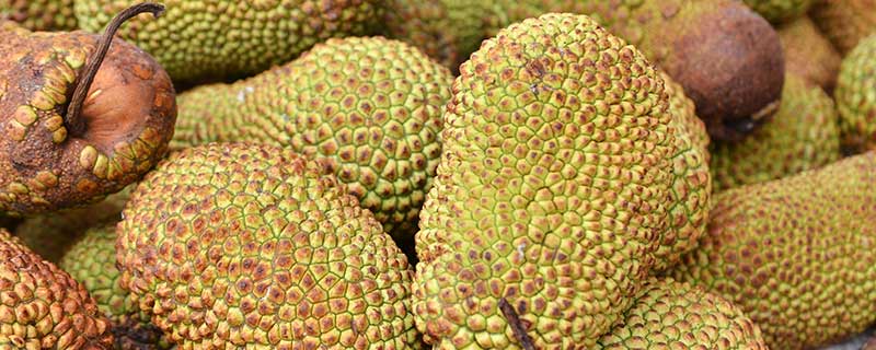 余生那些年 相关产品