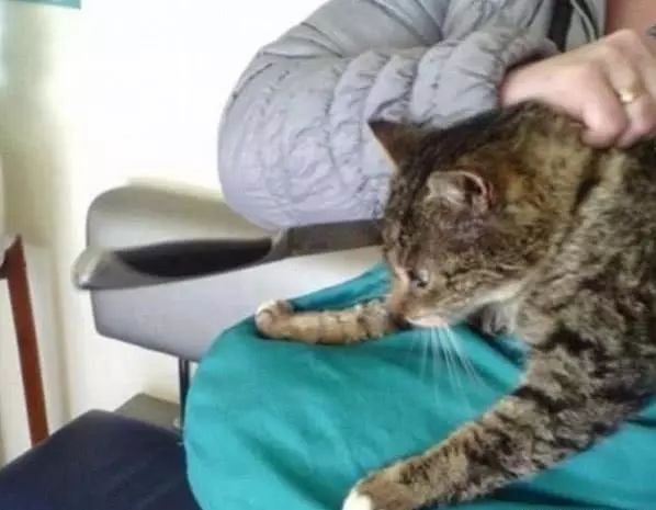 伊甸园计划 产品图片