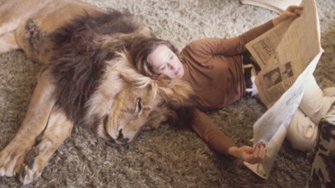 冰河的诅咒 相关产品