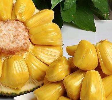 冷面虎 相关产品