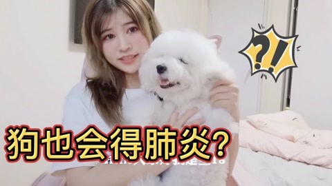 乌龙大家庭 产品主图