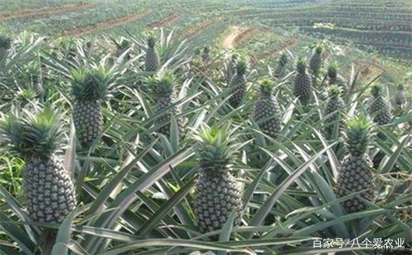 凶宅怪谈2 相关产品