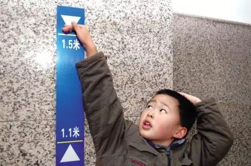 像小强一样活着 相关产品