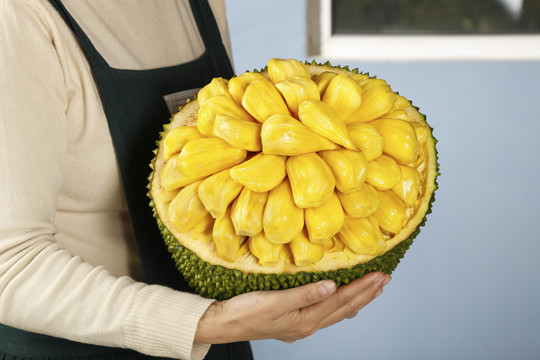 冷面虎 相关产品