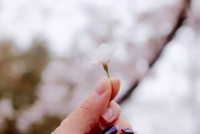 假装看不见之电影大师 产品图片