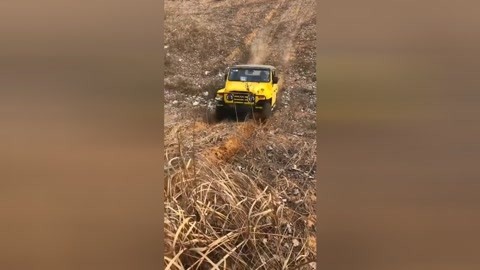 佐治亚州风暴 相关产品