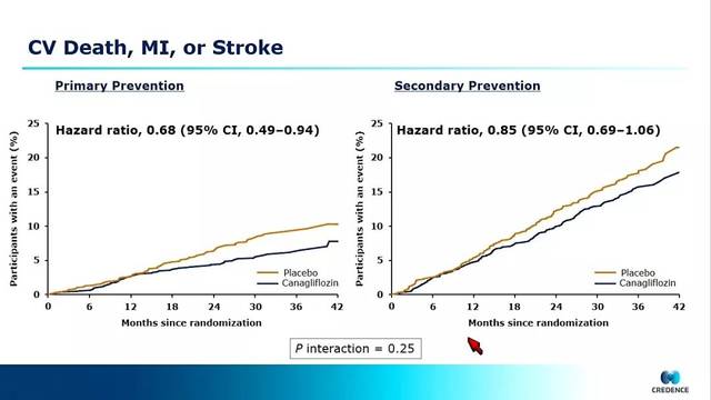 嗜血灰熊 产品图片