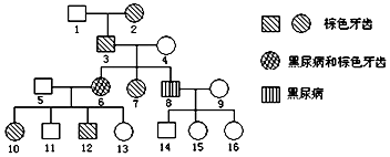 使徒行者（国语版） 推荐产品