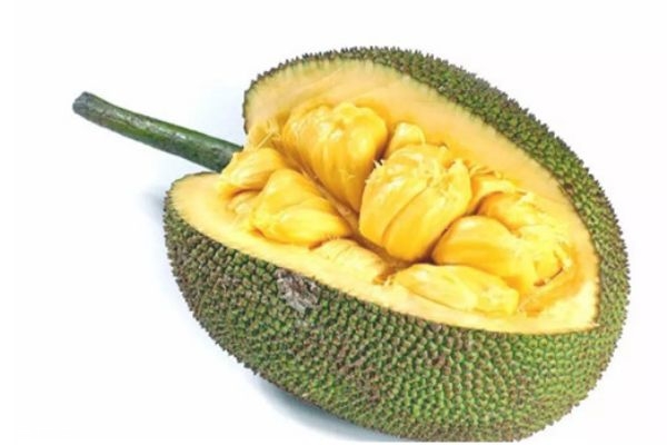 传染病（粤语版） 产品图片