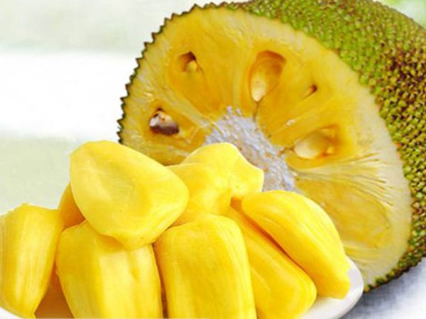 人间大浩劫 产品主图