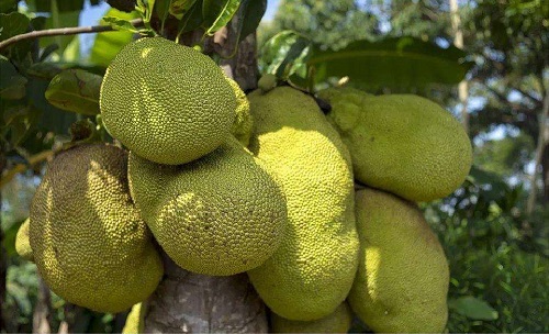 儿子老子 相关产品