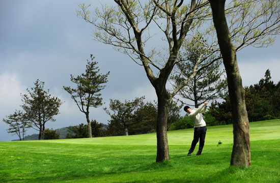 冬荫功 产品图片