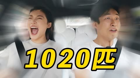 侠僧探案传奇之洛阳花会 产品图片