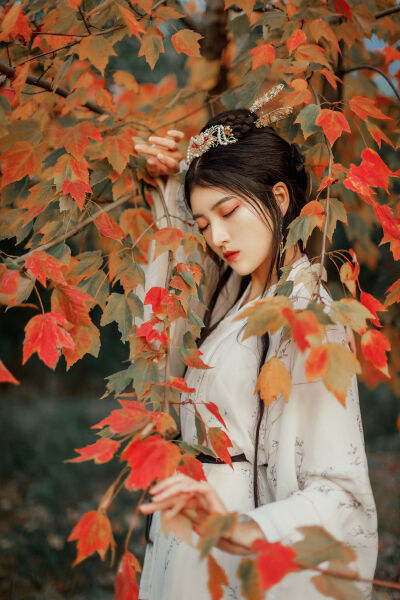 保安官 产品图片