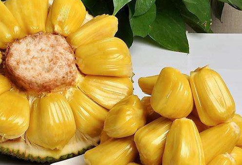 候车室：生命之书 待合室