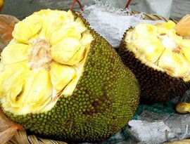 伦敦河 相关产品