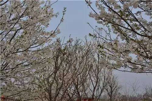 再见，男孩 相关产品