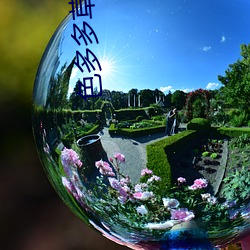 伤痛不会将我们拆散