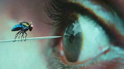 你是好孩子 产品图片