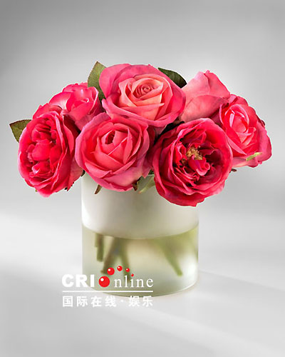 嗜血灰熊 相关产品