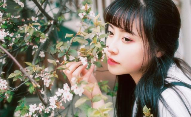 但丁密码（粤语版） 相关产品