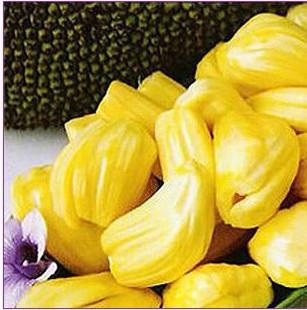 坏蛋必须死 相关产品