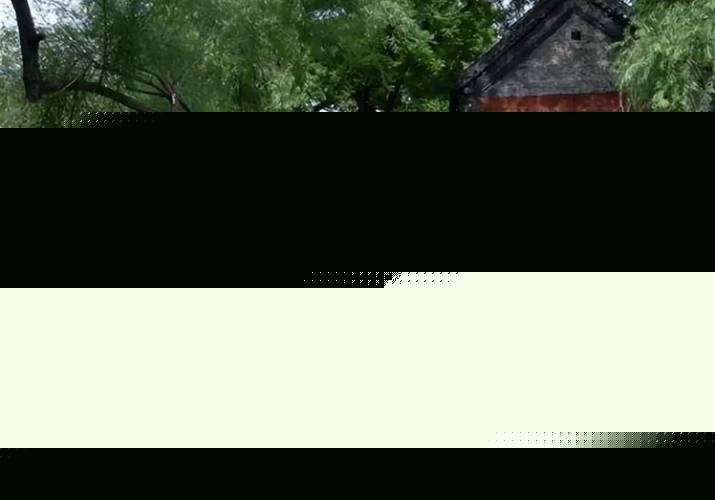 冒牌大哥 相关产品