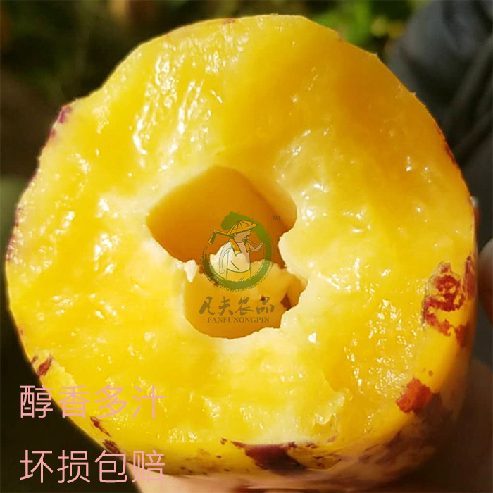 信念一生 产品图片