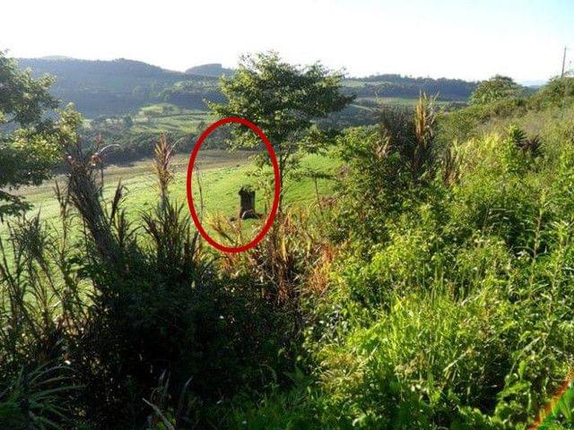 冲破黎明前的黑暗 相关产品