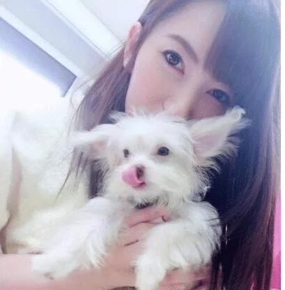 偷龙转猫 推荐产品