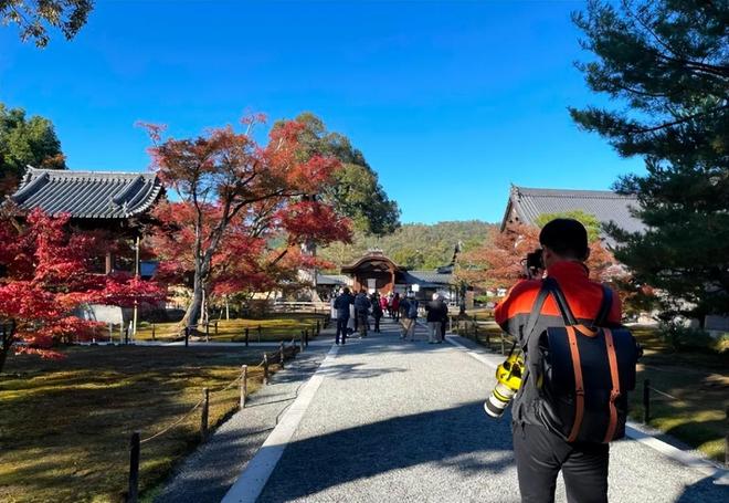 傲慢与善良 产品图片