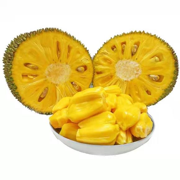 假面骑士平成世代 推荐产品