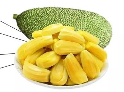 僵尸翻生 相关产品