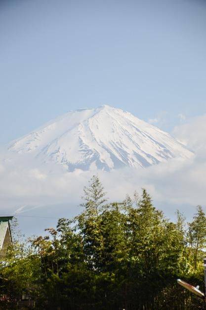 圣诞传承 推荐产品